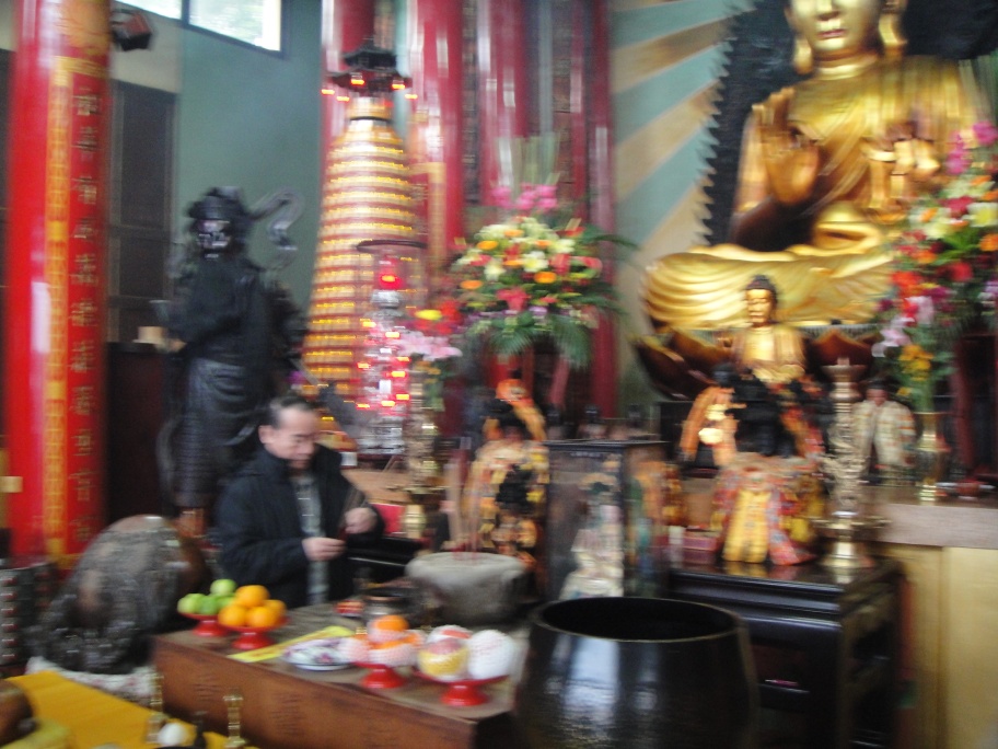 DSC02429.jpg