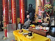 DSC02428.jpg