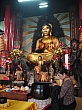 DSC02431.jpg
