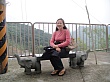 DSC02433.jpg