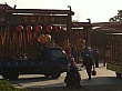 D1330.jpg