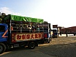 D1332.jpg