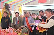 R351.jpg