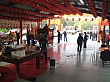 Thumbnail of B2481.jpg
