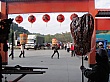 Thumbnail of B2490.jpg