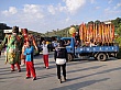 Thumbnail of B2492.jpg