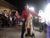 Dog Dancing Queen