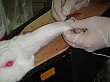 DSC00456.jpg